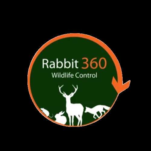 Rabbit Control Profile Picture