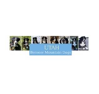 Utah Bernese Mountain Dogs Profile Picture