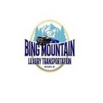 Bing Mountain Luxury Transportation Profile Picture