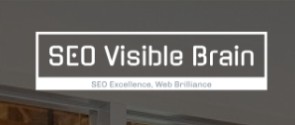 Seo Visible Brain Profile Picture