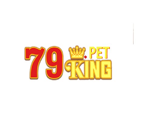 79king Profile Picture