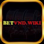 Betvndwiki Profile Picture