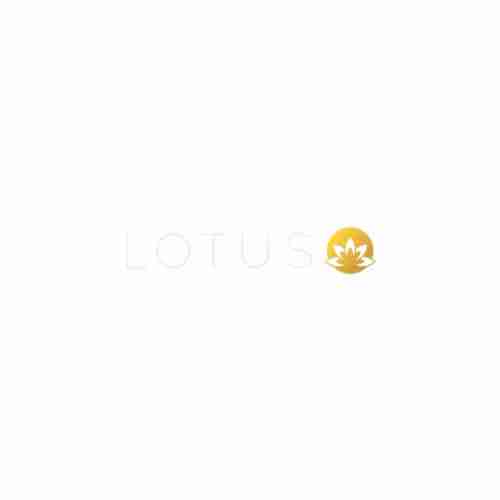 lotus books Profile Picture