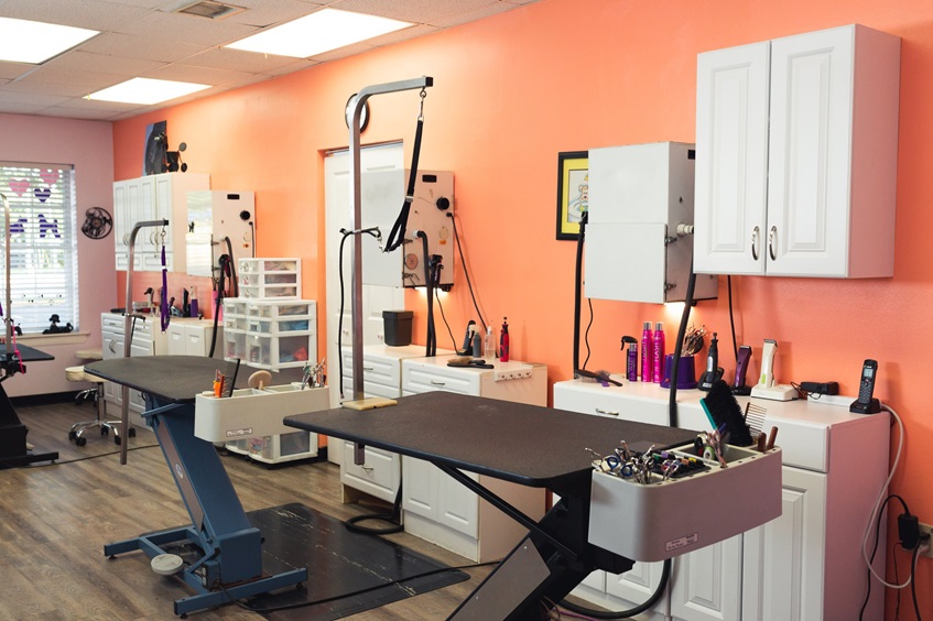 Paw-sitively Pampered: 3 Grooming Salon Accessories for Your Business - LovingLocal