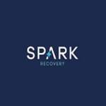 Spark Recovery Profile Picture