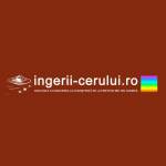 ingerii cerului Profile Picture