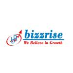 BIZZRISEB2BPORPAL Profile Picture