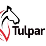 Tulpar Global Taxation profile picture