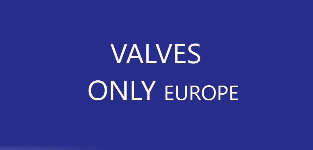 valveseuro12 Profile Picture